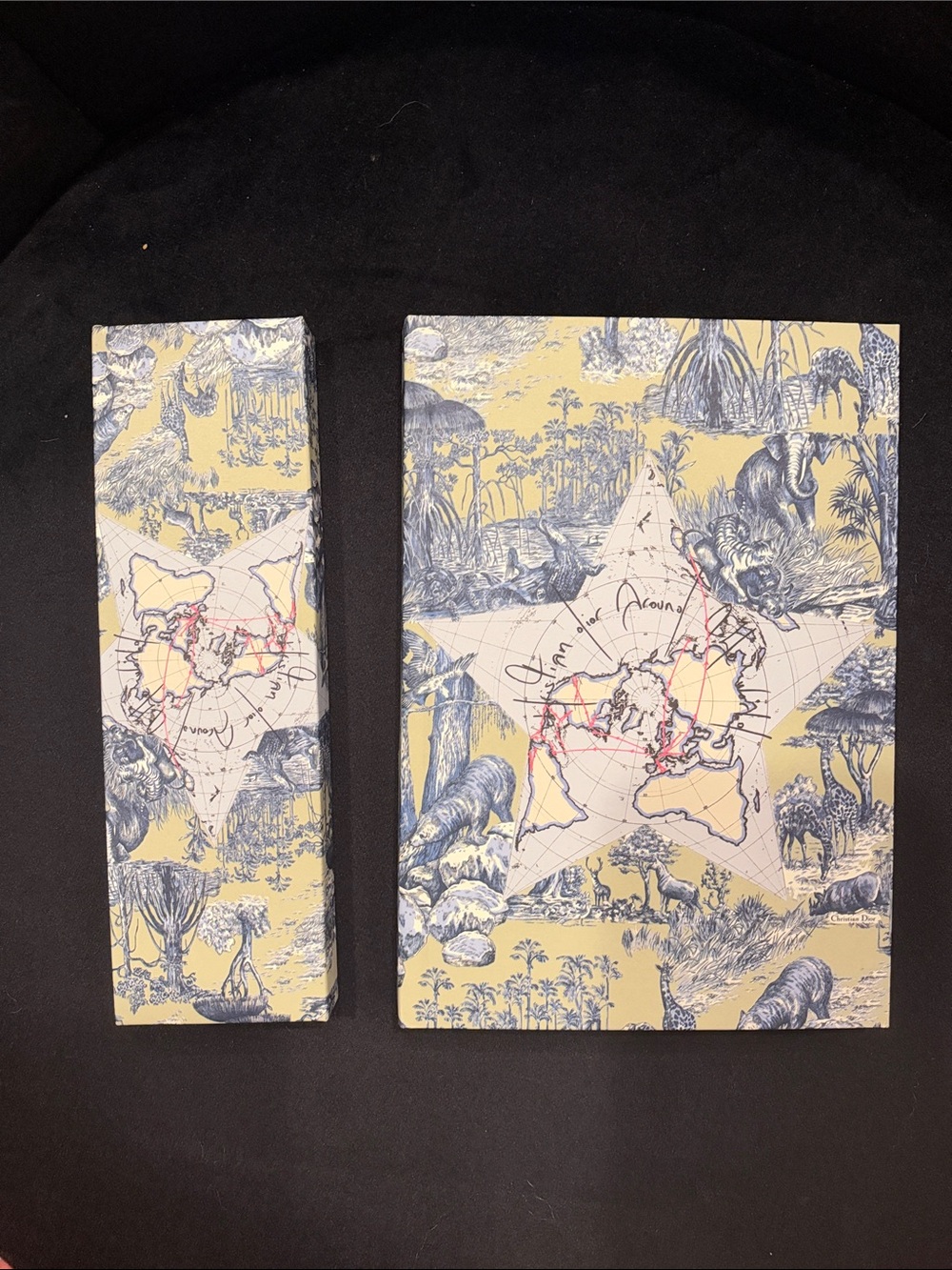 Dior Blue and Cream Toile Map Canvas Panels